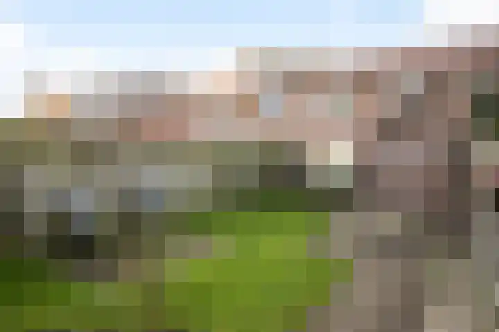De Savornin Lohmanlaan 24 Zwolle thumbnail 23
