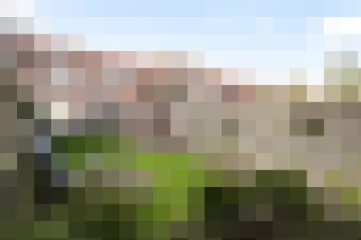 De Savornin Lohmanlaan 24 Zwolle thumbnail 24