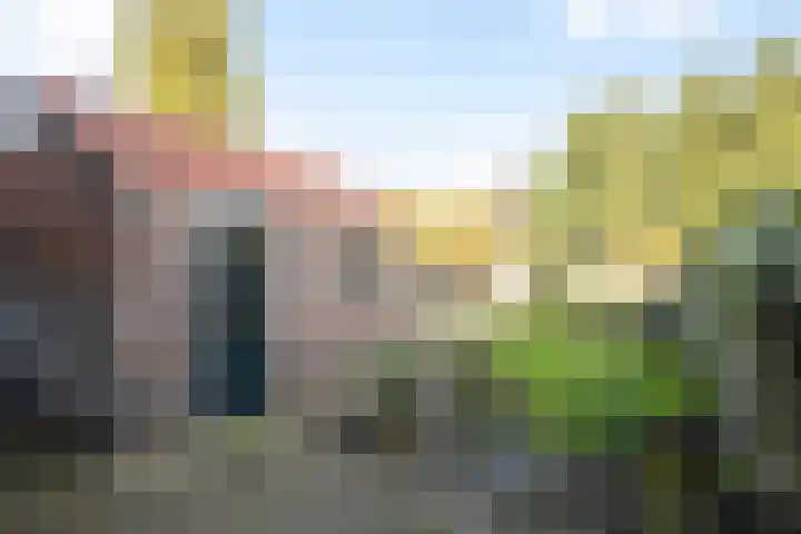 De Savornin Lohmanlaan 24 Zwolle thumbnail 26