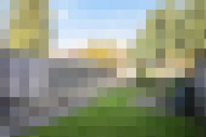 De Savornin Lohmanlaan 24 Zwolle thumbnail 27