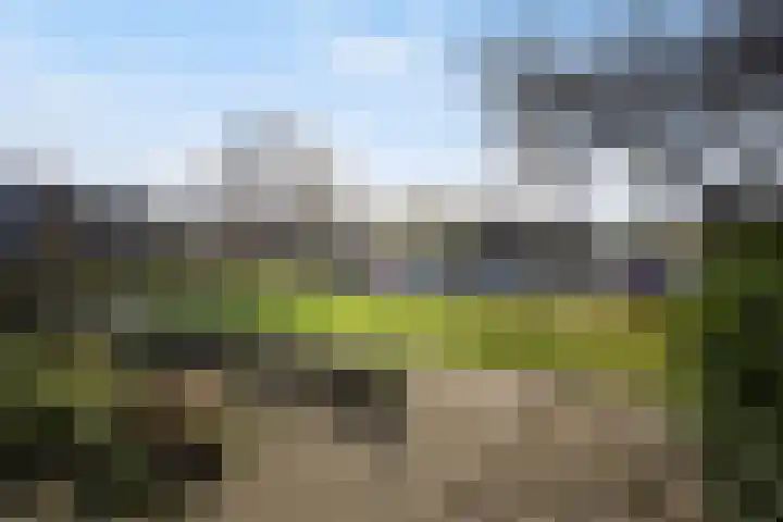 De Savornin Lohmanlaan 24 Zwolle thumbnail 30