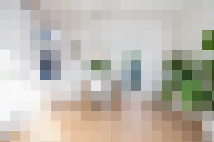 De Savornin Lohmanlaan 24 Zwolle thumbnail 5