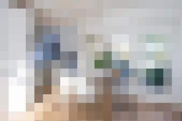 De Savornin Lohmanlaan 24 Zwolle thumbnail 7