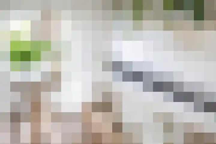 De Savornin Lohmanlaan 24 Zwolle thumbnail 8