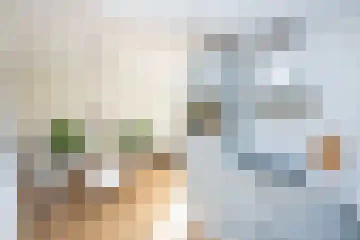 De Savornin Lohmanlaan 24 Zwolle thumbnail 9