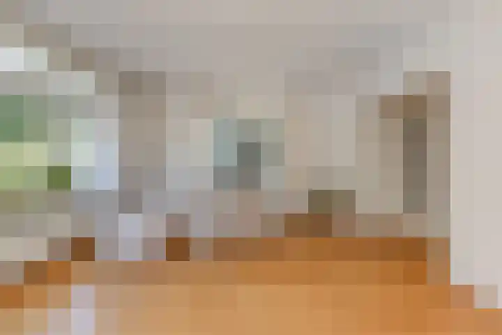 De Savornin Lohmanlaan 240 Den Haag thumbnail 10