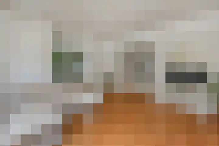 De Savornin Lohmanlaan 240 Den Haag thumbnail 11