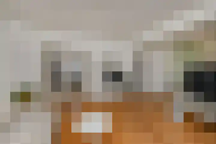 De Savornin Lohmanlaan 240 Den Haag thumbnail 12