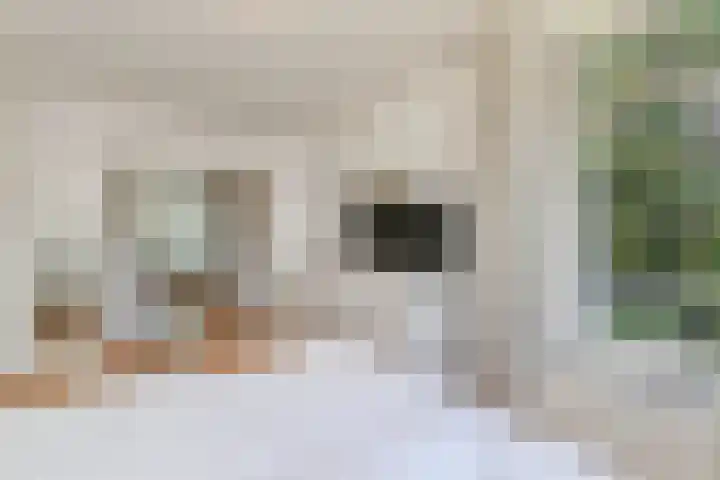 De Savornin Lohmanlaan 240 Den Haag thumbnail 14