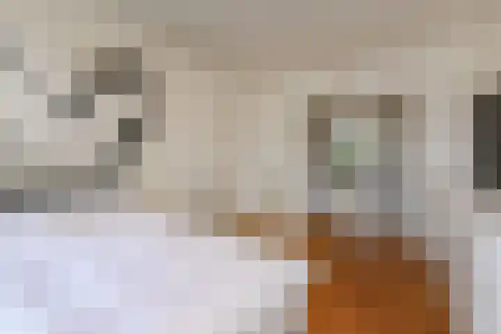 De Savornin Lohmanlaan 240 Den Haag thumbnail 15