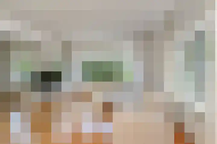 De Savornin Lohmanlaan 240 Den Haag thumbnail 17