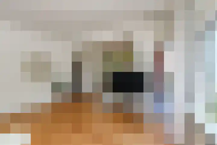 De Savornin Lohmanlaan 240 Den Haag thumbnail 19