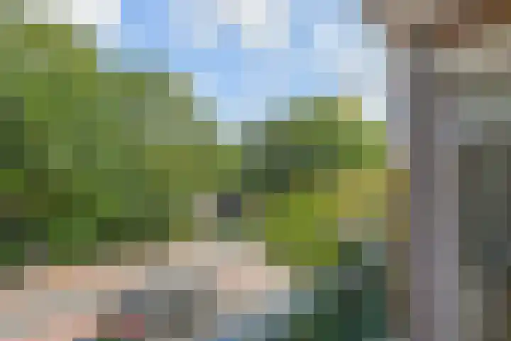 De Savornin Lohmanlaan 240 Den Haag thumbnail 21