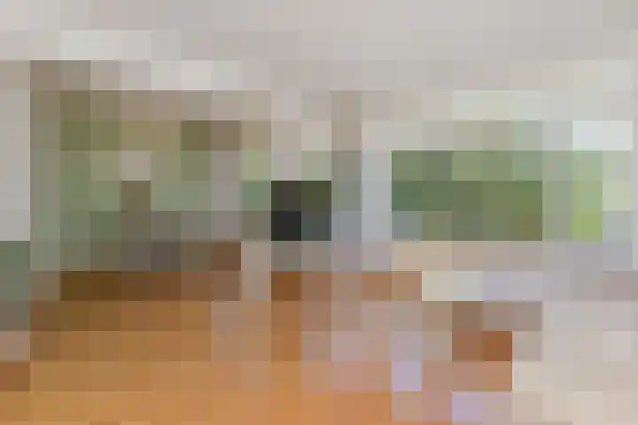 De Savornin Lohmanlaan 240 Den Haag thumbnail 22