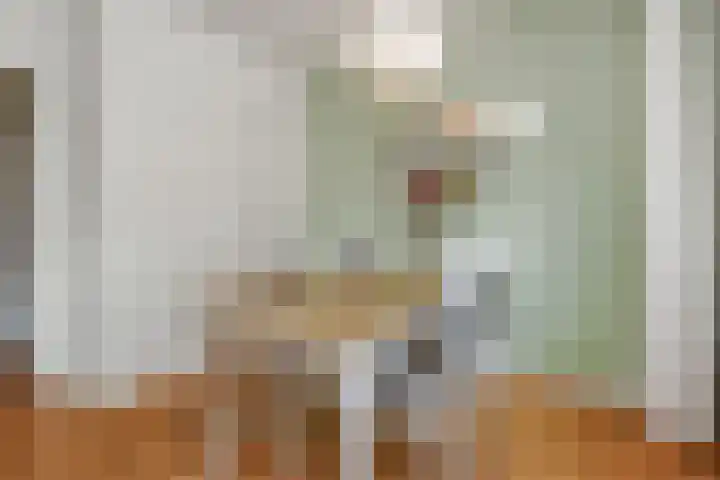 De Savornin Lohmanlaan 240 Den Haag thumbnail 23