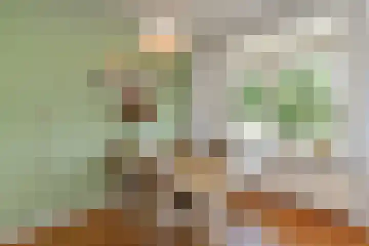 De Savornin Lohmanlaan 240 Den Haag thumbnail 24