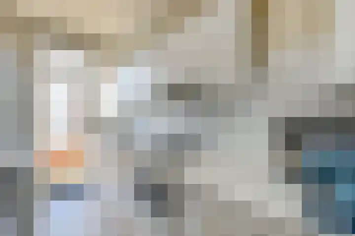 De Savornin Lohmanlaan 240 Den Haag thumbnail 26