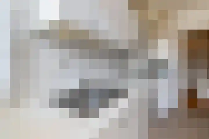 De Savornin Lohmanlaan 240 Den Haag thumbnail 27