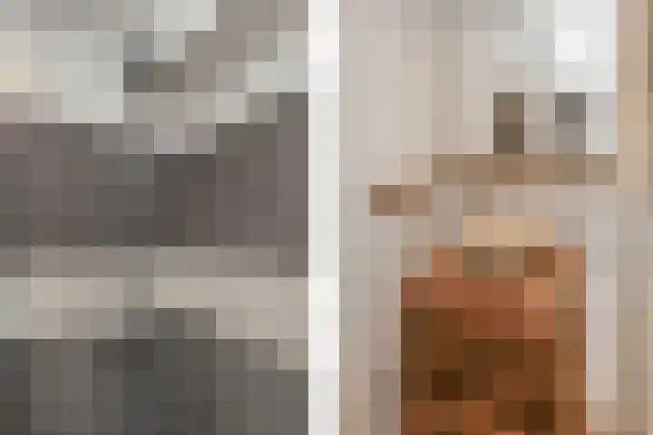 De Savornin Lohmanlaan 240 Den Haag thumbnail 28