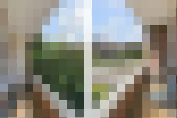 De Savornin Lohmanlaan 240 Den Haag thumbnail 30