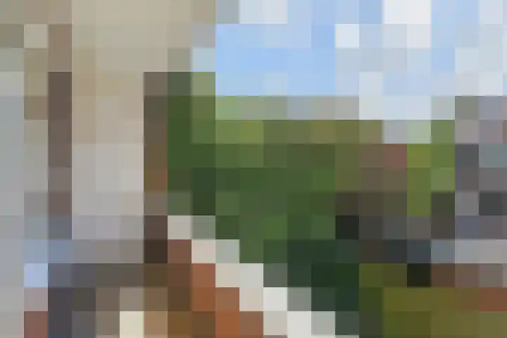 De Savornin Lohmanlaan 240 Den Haag thumbnail 31