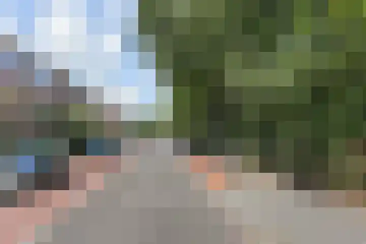 De Savornin Lohmanlaan 240 Den Haag thumbnail 33