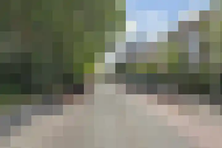 De Savornin Lohmanlaan 240 Den Haag thumbnail 34