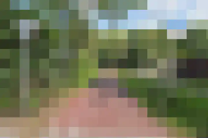 De Savornin Lohmanlaan 240 Den Haag thumbnail 35