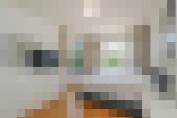 De Savornin Lohmanlaan 240 Den Haag thumbnail 4