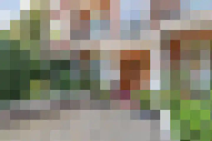 De Savornin Lohmanlaan 240 Den Haag thumbnail 7