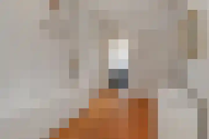 De Savornin Lohmanlaan 240 Den Haag thumbnail 9