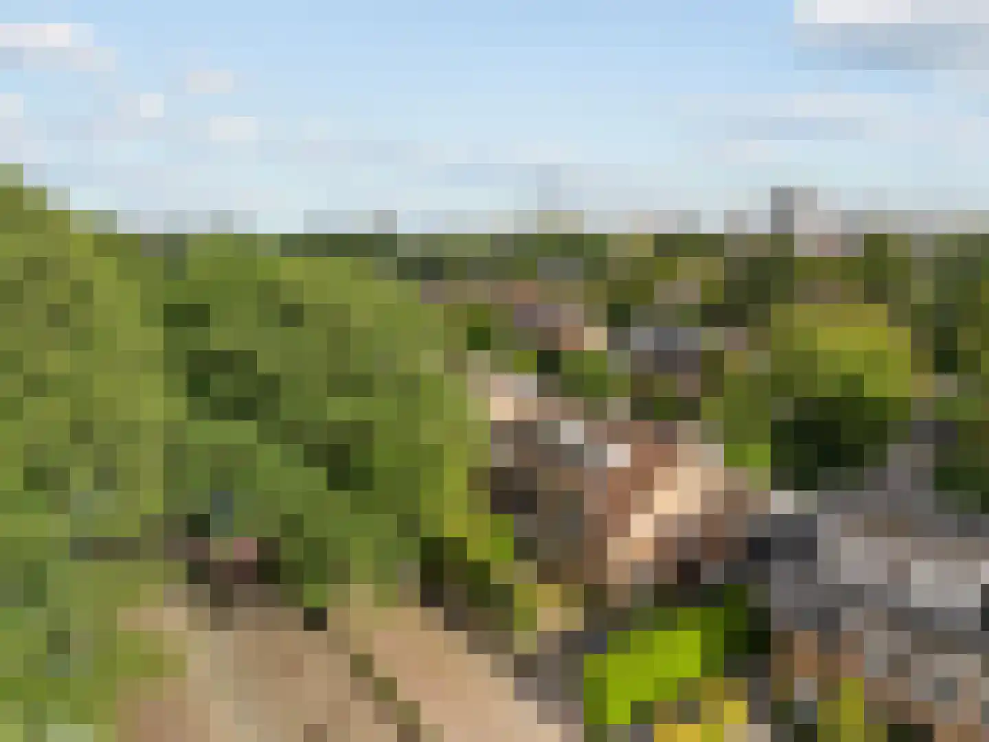 De Savornin Lohmanlaan 25 Amstelveen thumbnail 48