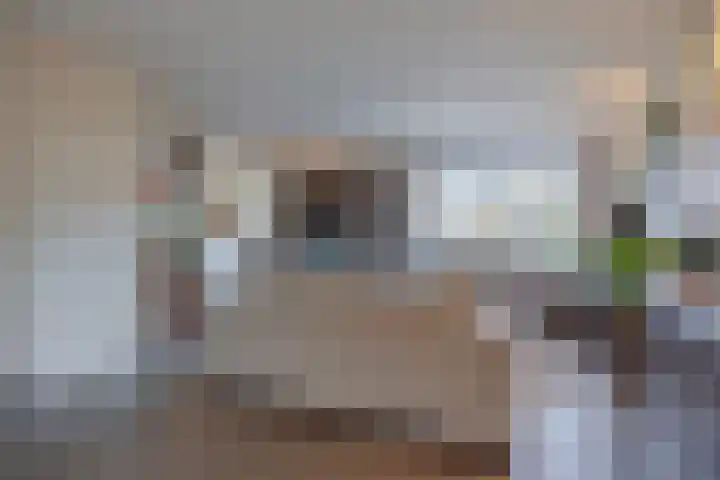 De Savornin Lohmanlaan 26 Vlijmen thumbnail 10