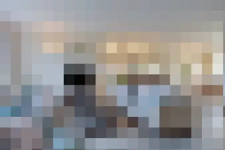 De Savornin Lohmanlaan 26 Vlijmen thumbnail 13
