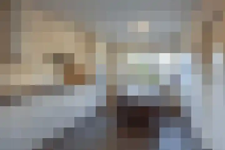 De Savornin Lohmanlaan 26 Vlijmen thumbnail 16