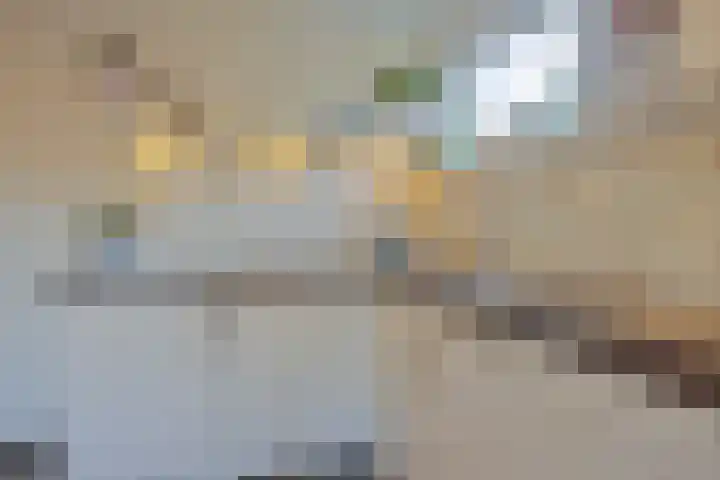 De Savornin Lohmanlaan 26 Vlijmen thumbnail 17