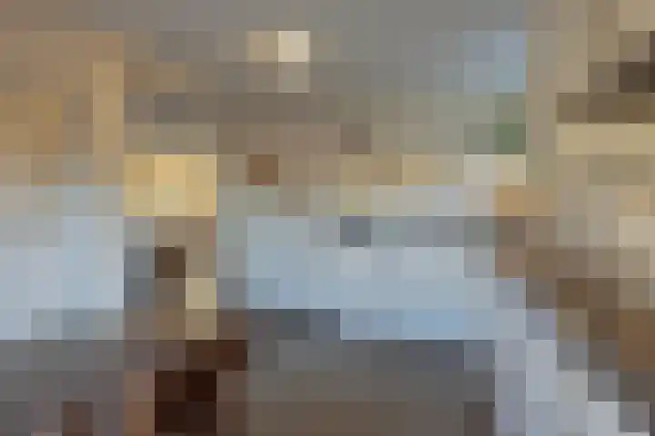 De Savornin Lohmanlaan 26 Vlijmen thumbnail 19