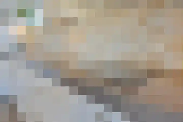 De Savornin Lohmanlaan 26 Vlijmen thumbnail 20