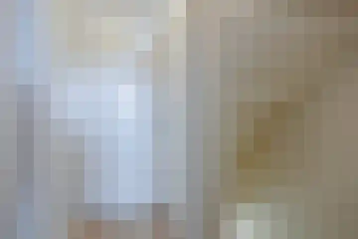 De Savornin Lohmanlaan 26 Vlijmen thumbnail 23