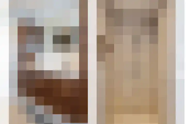 De Savornin Lohmanlaan 26 Vlijmen thumbnail 27