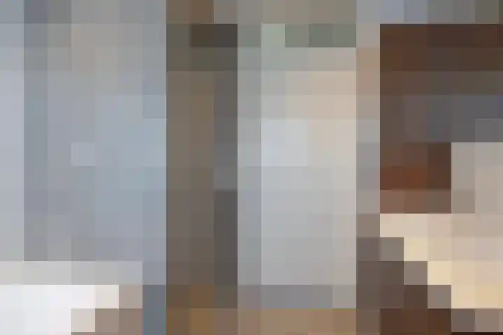 De Savornin Lohmanlaan 26 Vlijmen thumbnail 29