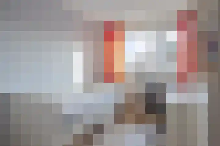 De Savornin Lohmanlaan 26 Vlijmen thumbnail 30