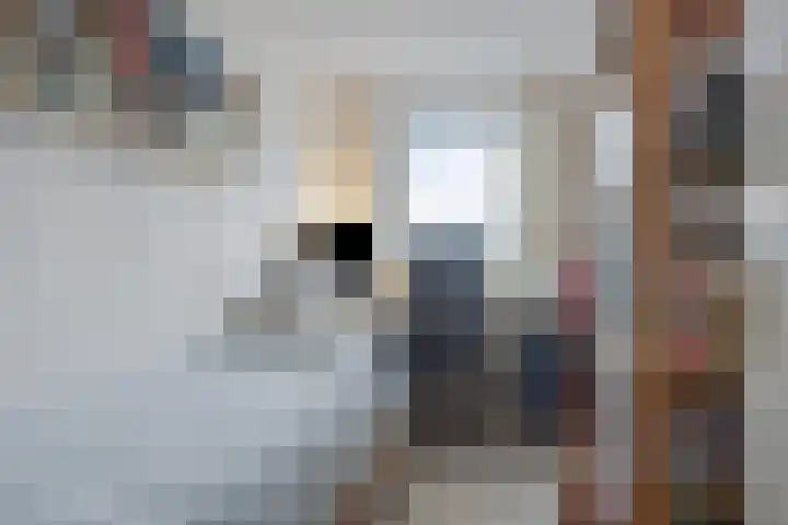 De Savornin Lohmanlaan 26 Vlijmen thumbnail 32