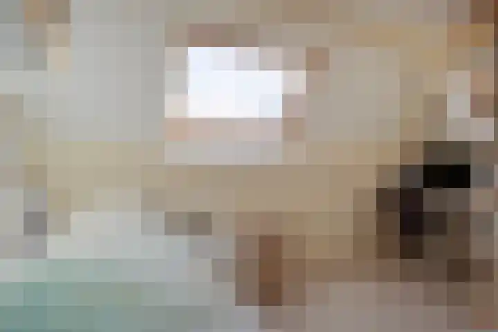 De Savornin Lohmanlaan 26 Vlijmen thumbnail 35