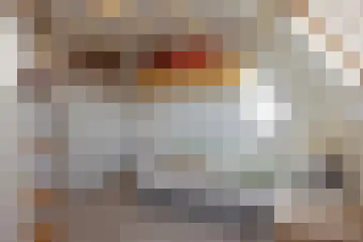De Savornin Lohmanlaan 26 Vlijmen thumbnail 36