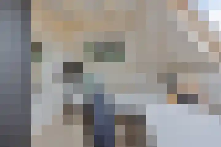 De Savornin Lohmanlaan 26 Vlijmen thumbnail 38