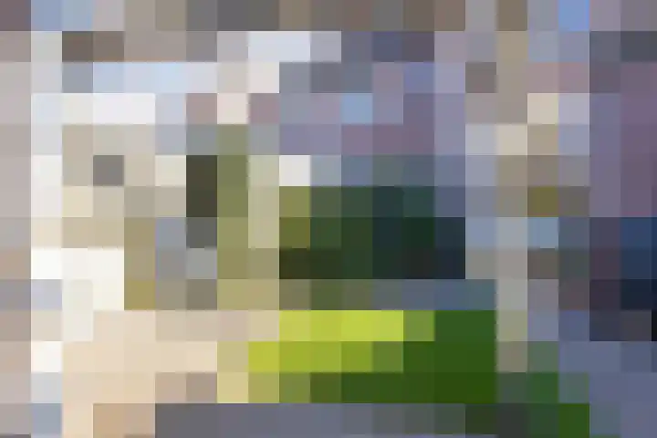 De Savornin Lohmanlaan 26 Vlijmen thumbnail 45