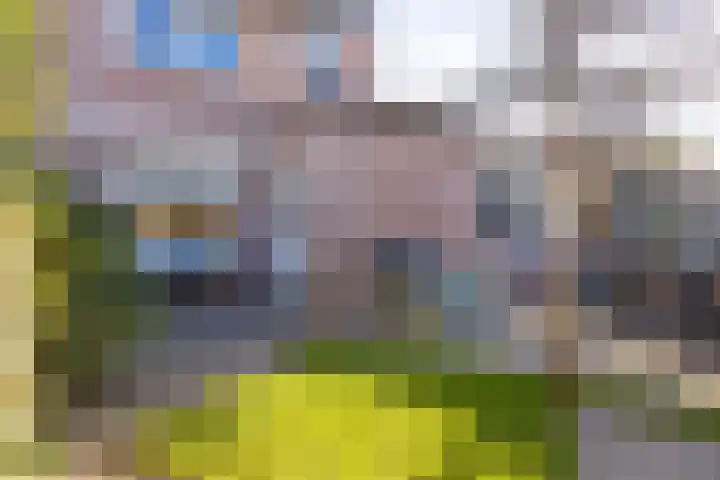 De Savornin Lohmanlaan 26 Vlijmen thumbnail 46