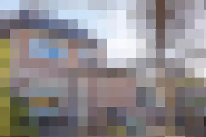 De Savornin Lohmanlaan 26 Vlijmen thumbnail 47