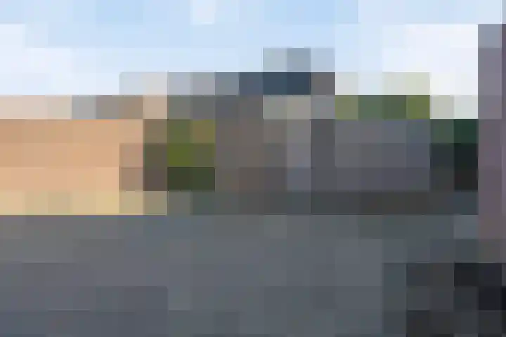 De Savornin Lohmanlaan 26 Vlijmen thumbnail 48